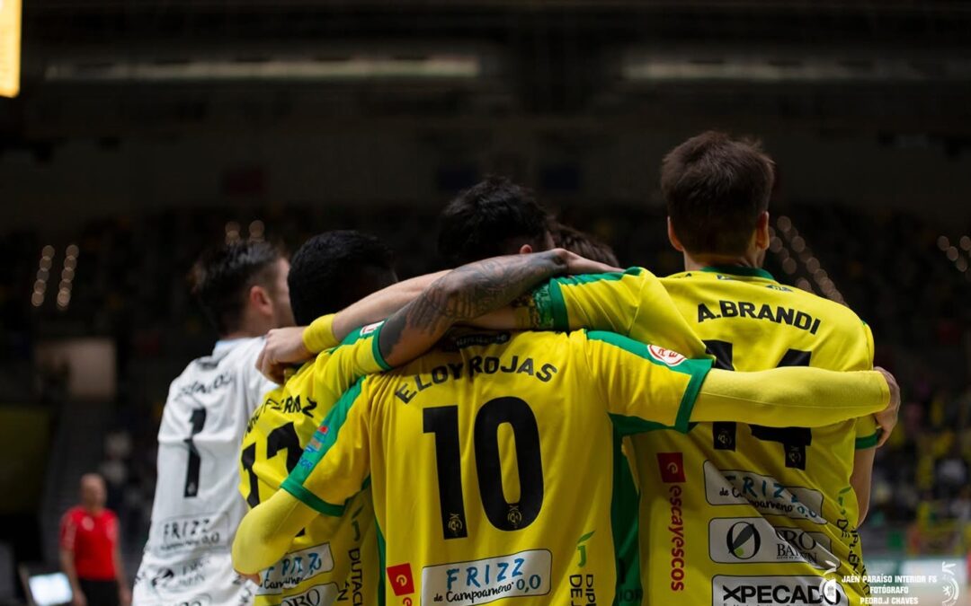 Previa Jornada 14 | Osasuna Magna Xota vs Jaén Paraíso Interior FS